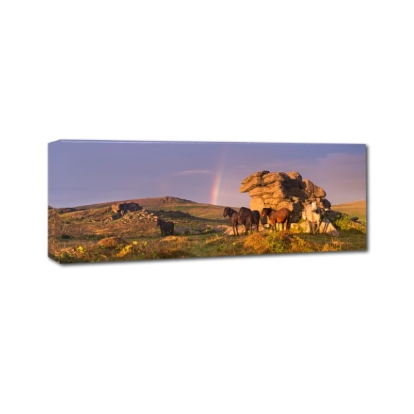 Adam Burton 'Visions Of Dartmoor' Canvas Art,10x32